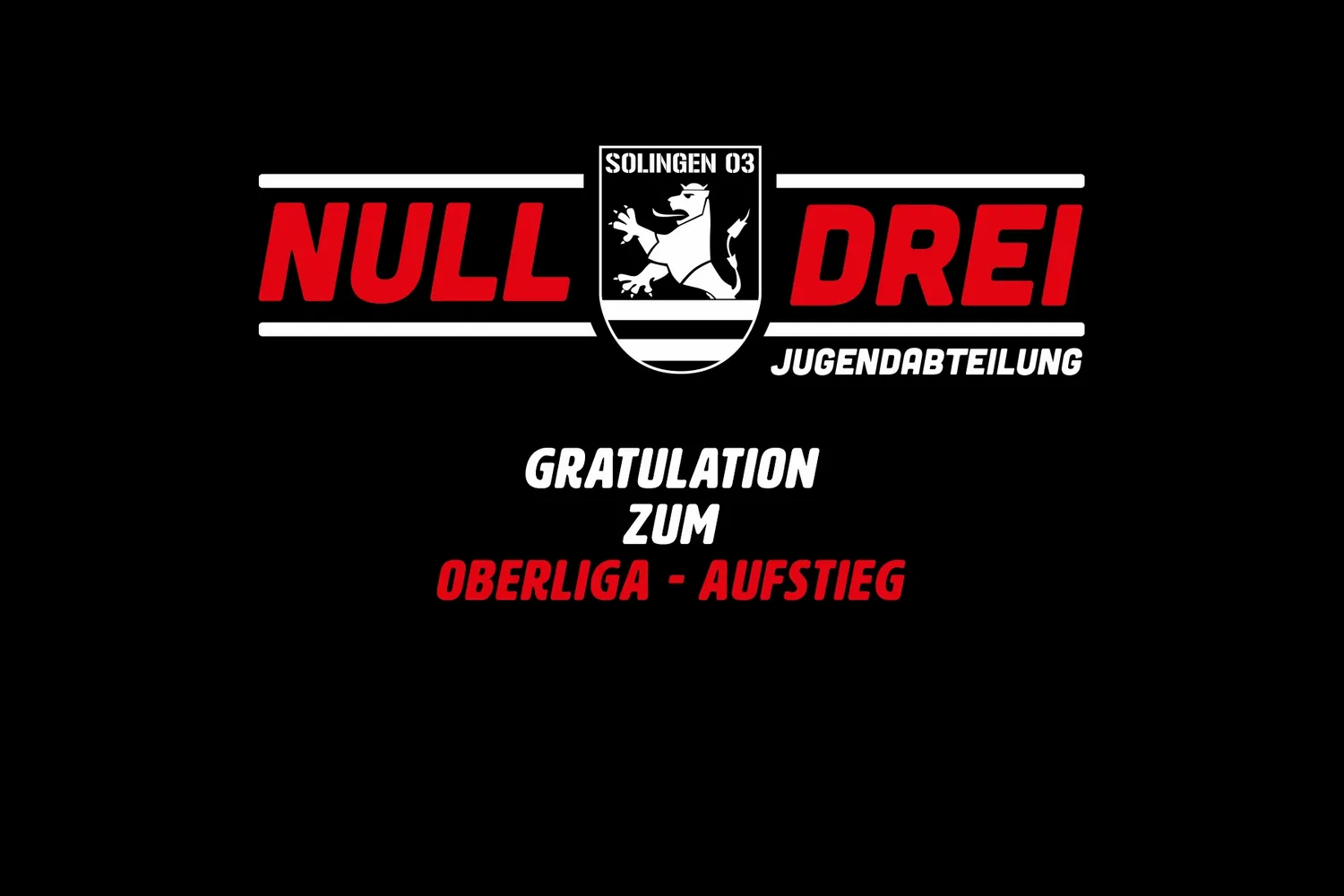 Der Jugendvorstand gratuliert zum Oberliga - Aufstieg