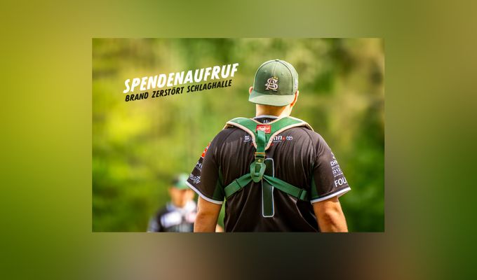Unterstützt die Alligators